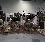 2015 Targi SILESIA EXPO Hunting_BALLISTOL 10